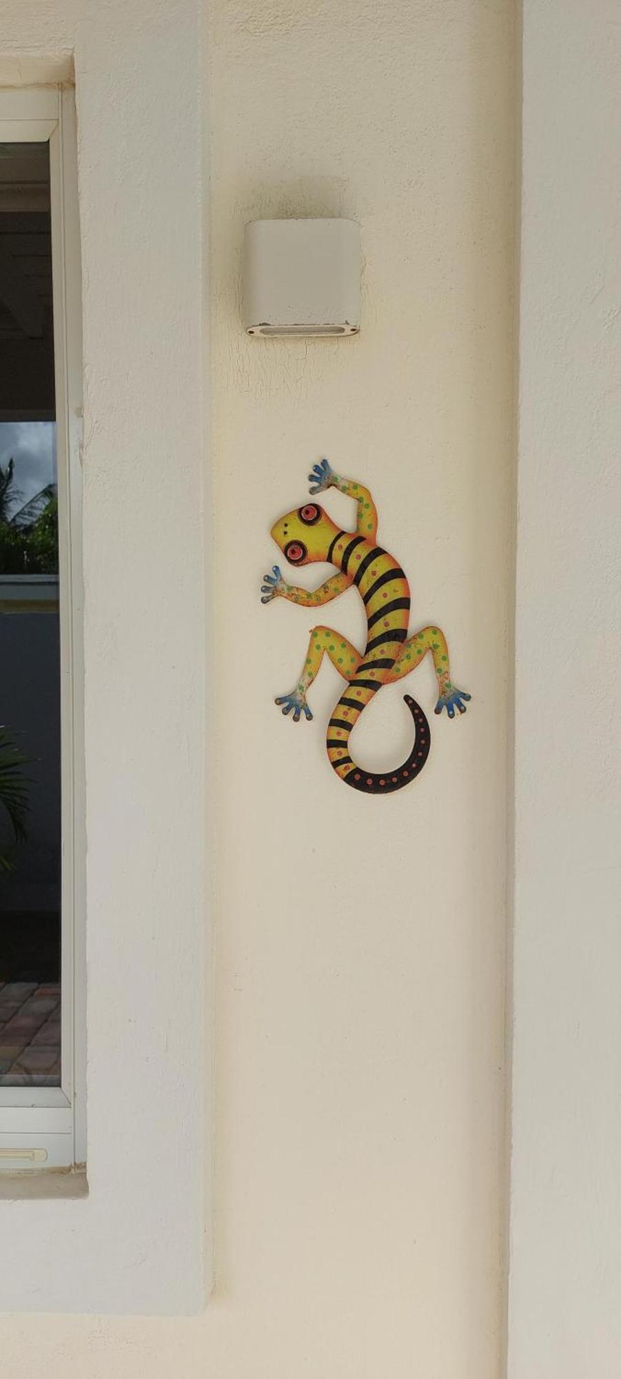 Dancing Iguanas Aparthotel Eagle Beach Exterior photo